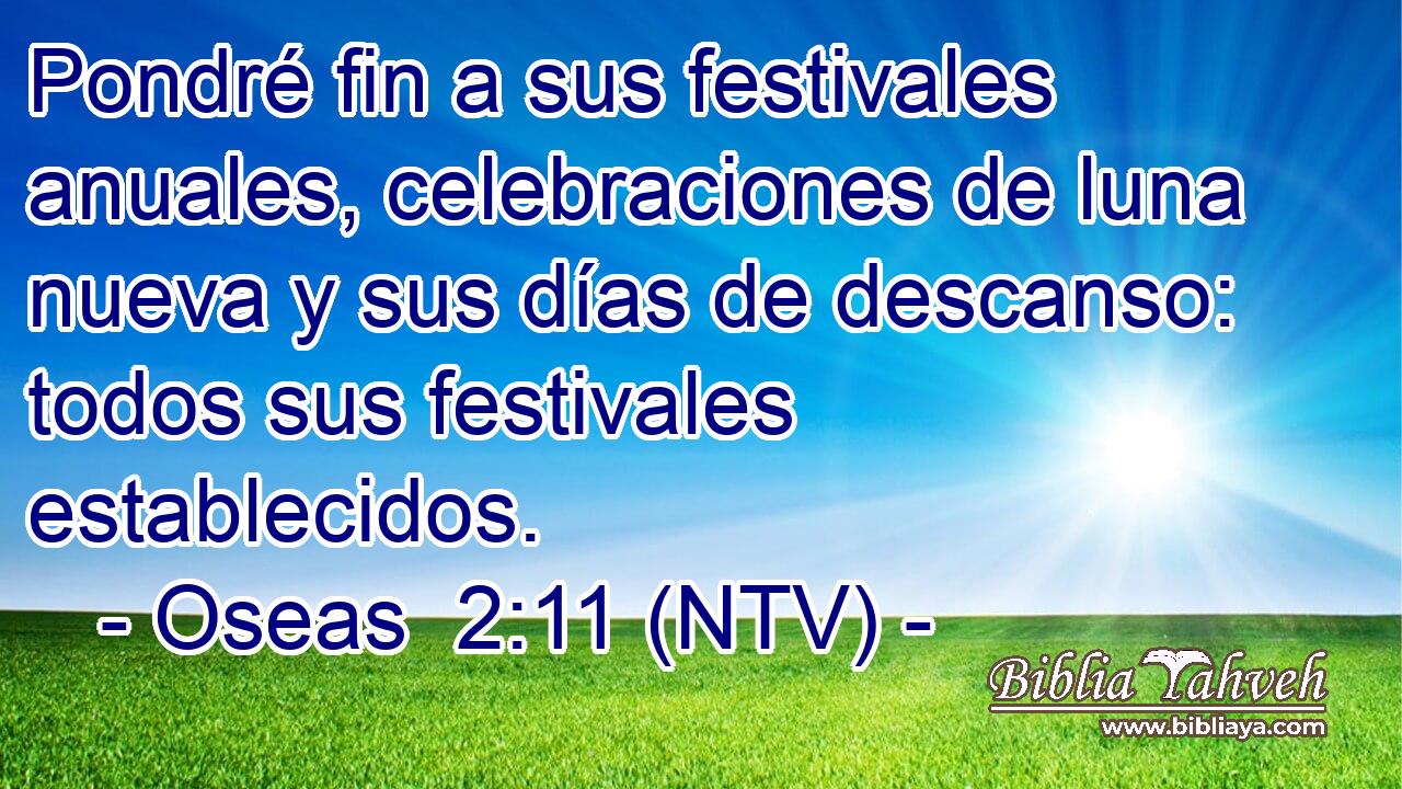 Pondré fin a sus festivales anuales, celebraciones de luna nueva y sus días de descanso: todos sus festivales establecidos.