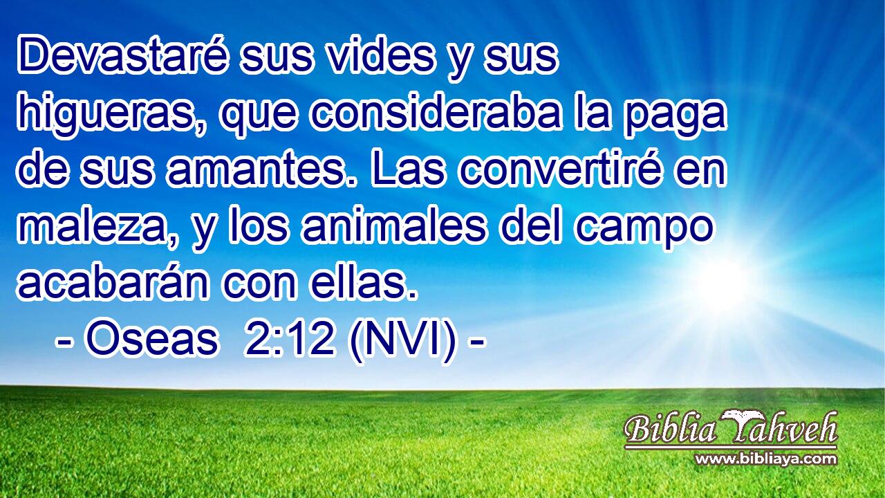  Devastaré sus vides y sus higueras, que consideraba la paga de sus amantes. Las convertiré en maleza, y los animales del campo acabarán con ellas. 