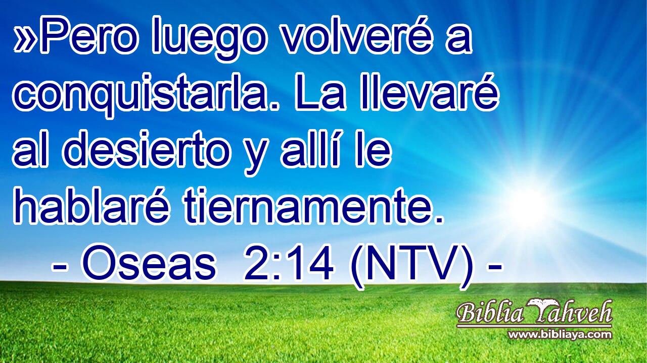 »Pero luego volveré a conquistarla. La llevaré al desierto y allí le hablaré tiernamente.