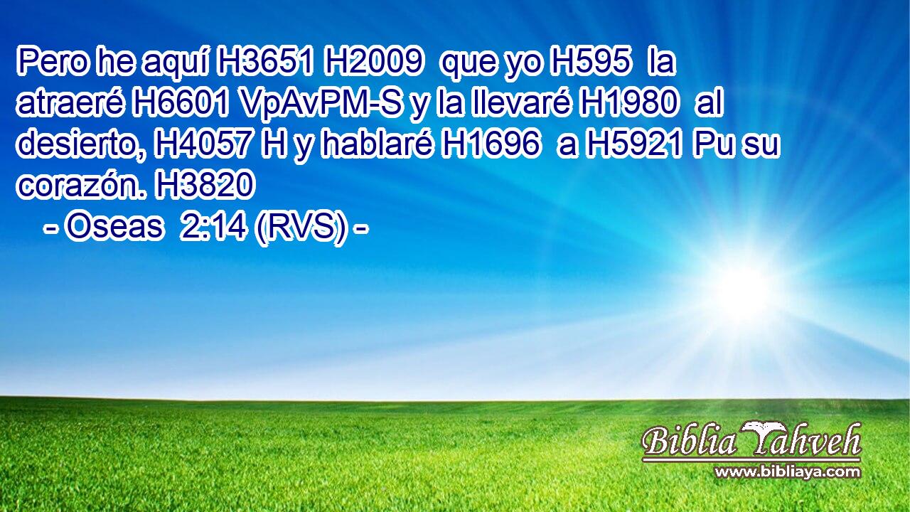 Pero he aquí H3651 H2009  que yo H595  la atraeré H6601 VpAvPM-S y la llevaré H1980  al desierto, H4057 H y hablaré H1696  a H5921 Pu su corazón. H3820  
