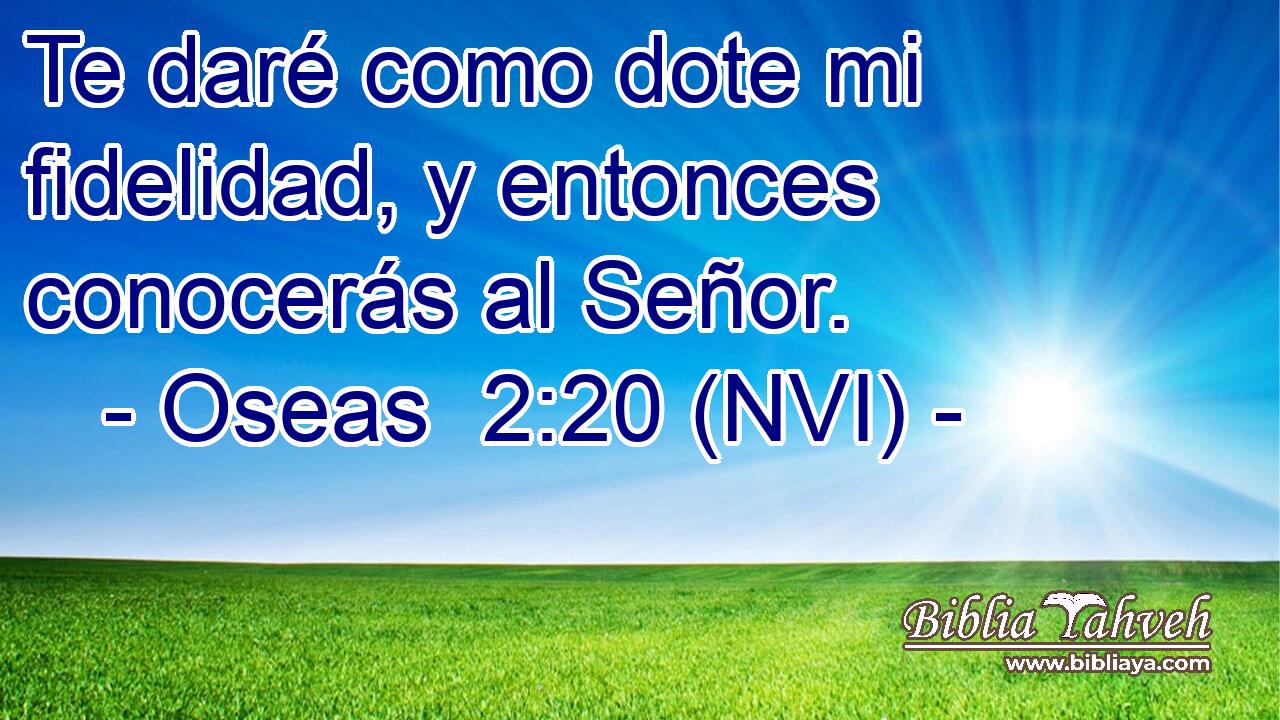  Te daré como dote mi fidelidad, y entonces conocerás al Señor. 