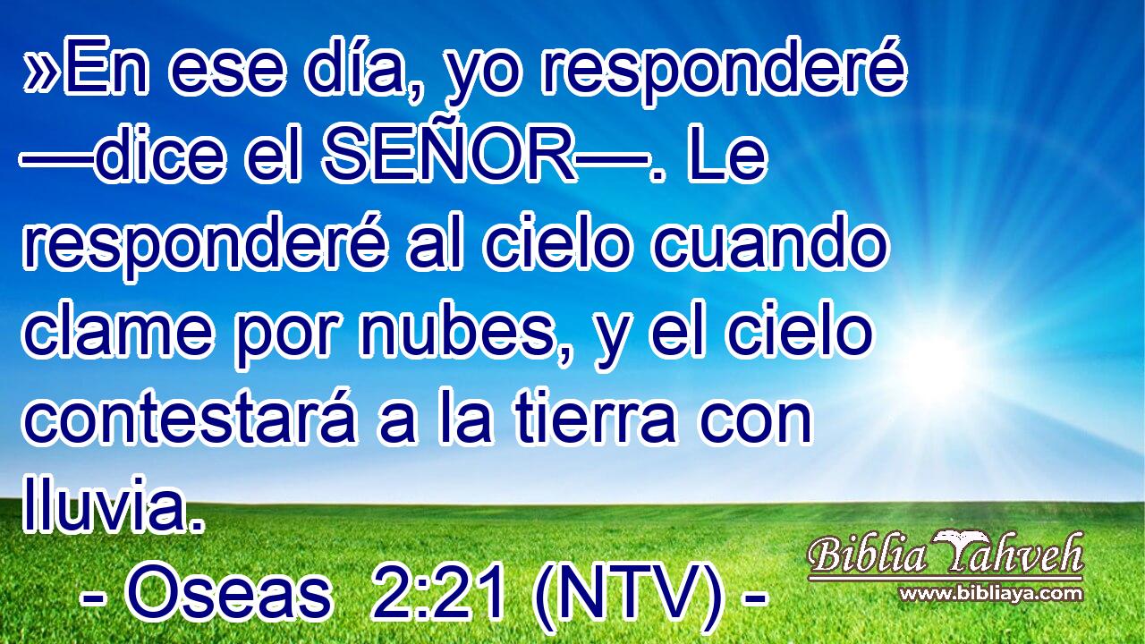 »En ese día, yo responderé —dice el SEÑOR—. Le responderé al cielo cuando clame por nubes, y el cielo contestará a la tierra con lluvia.