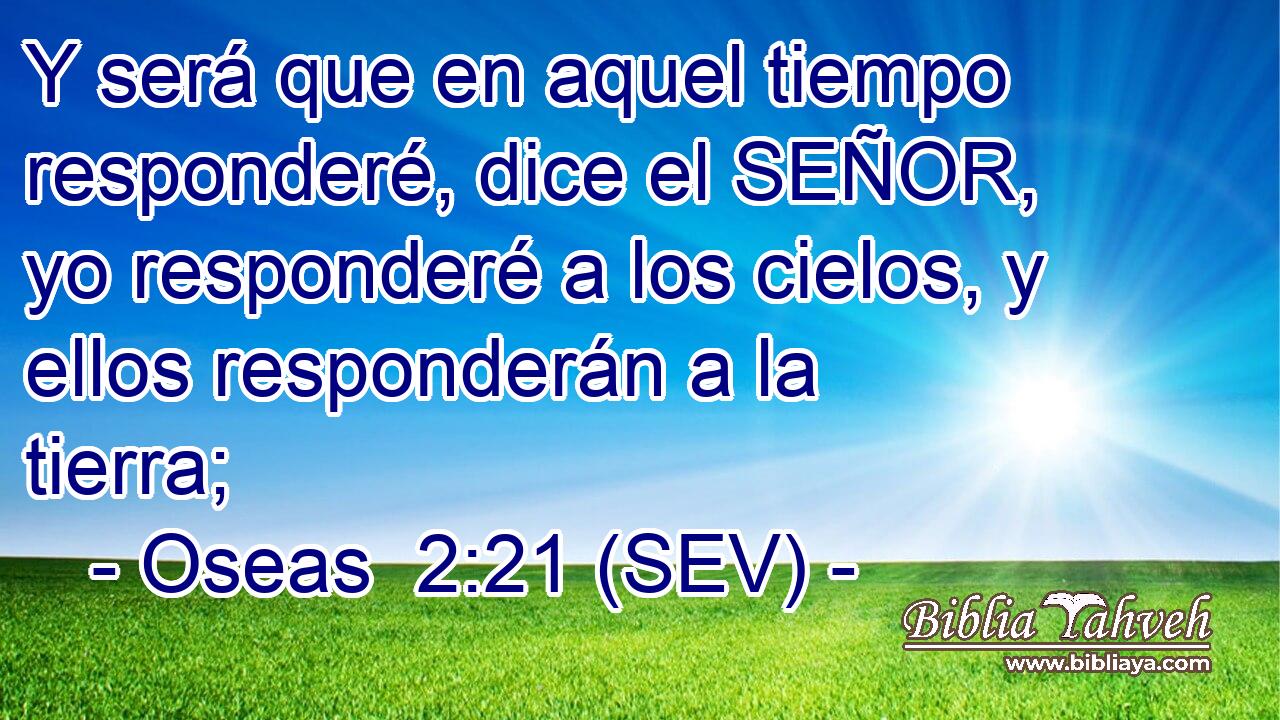Y será que en aquel tiempo responderé, dice el SEÑOR, yo responderé a los cielos, y ellos responderán a la tierra;