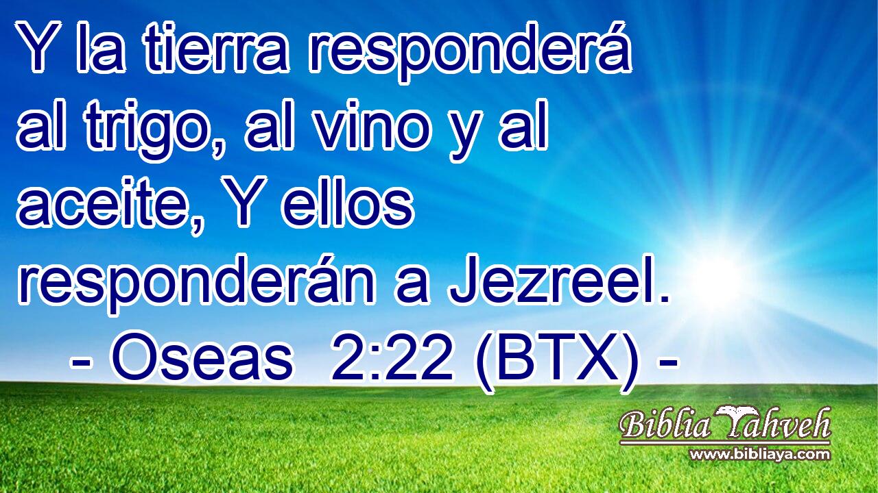 Y la tierra responderá al trigo, al vino y al aceite, Y ellos responderán a Jezreel.