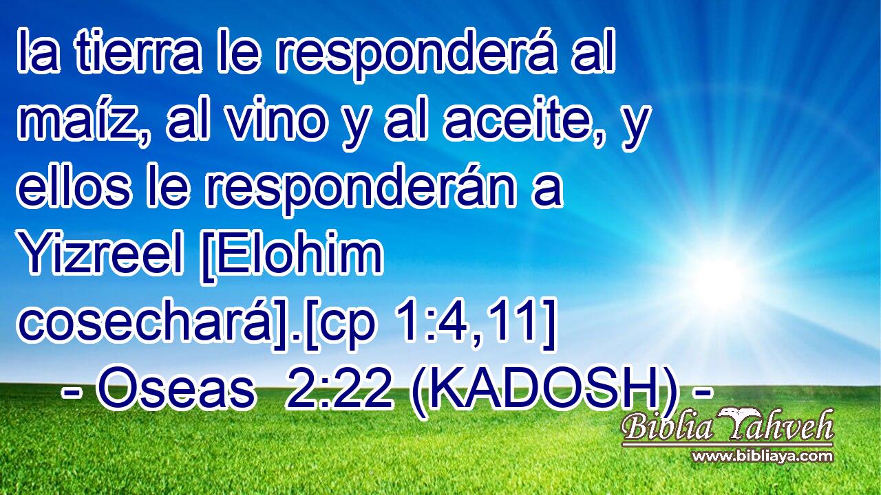  la tierra le responderá al maíz, al vino y al aceite, y ellos le responderán a Yizreel [Elohim cosechará].[cp 1:4,11] 
