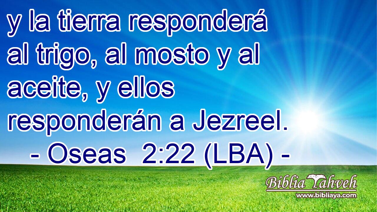 y la tierra responderá al trigo, al mosto y al aceite, y ellos responderán a Jezreel.