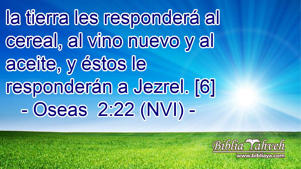  la tierra les responderá al cereal, al vino nuevo y al aceite, y éstos le responderán a Jezrel. [6] 
