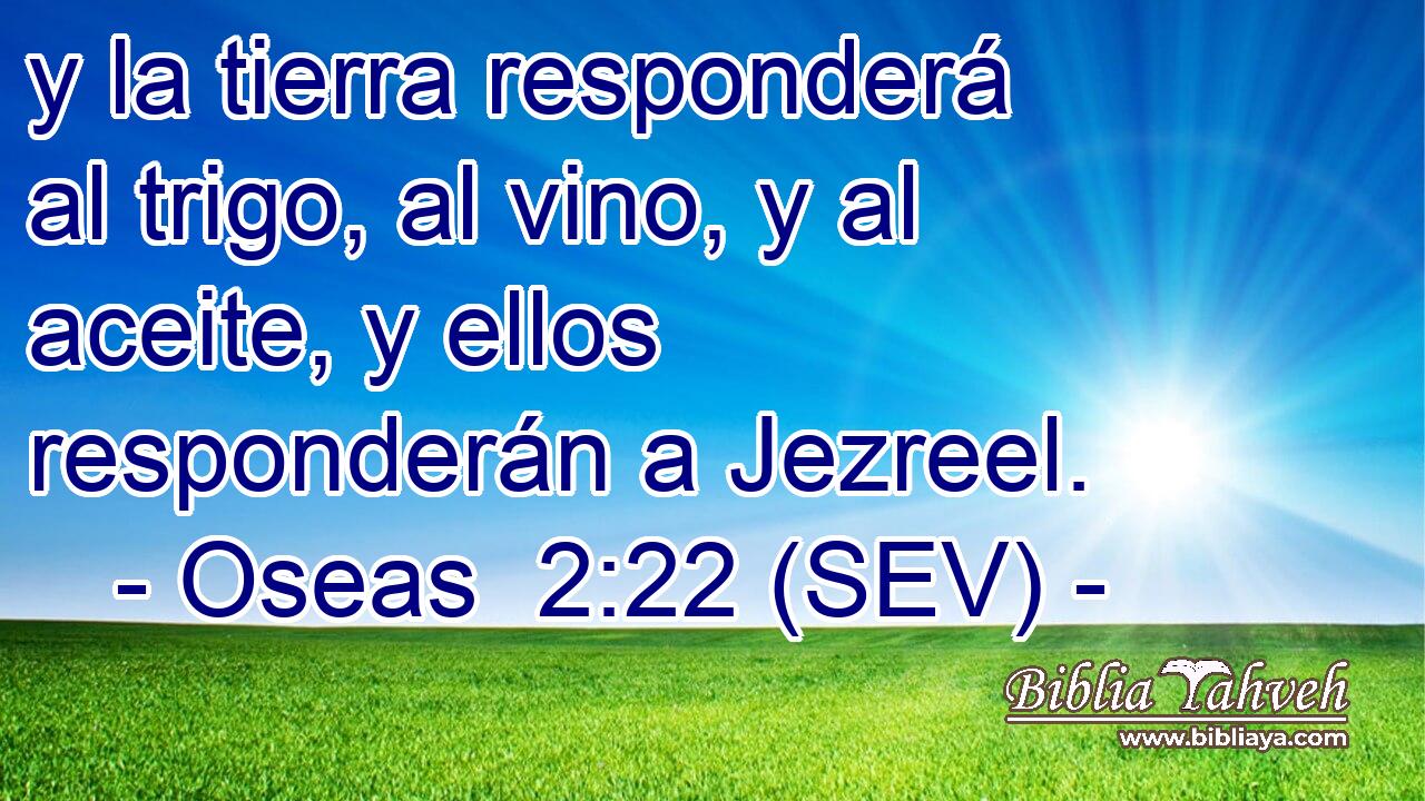 y la tierra responderá al trigo, al vino, y al aceite, y ellos responderán a Jezreel.