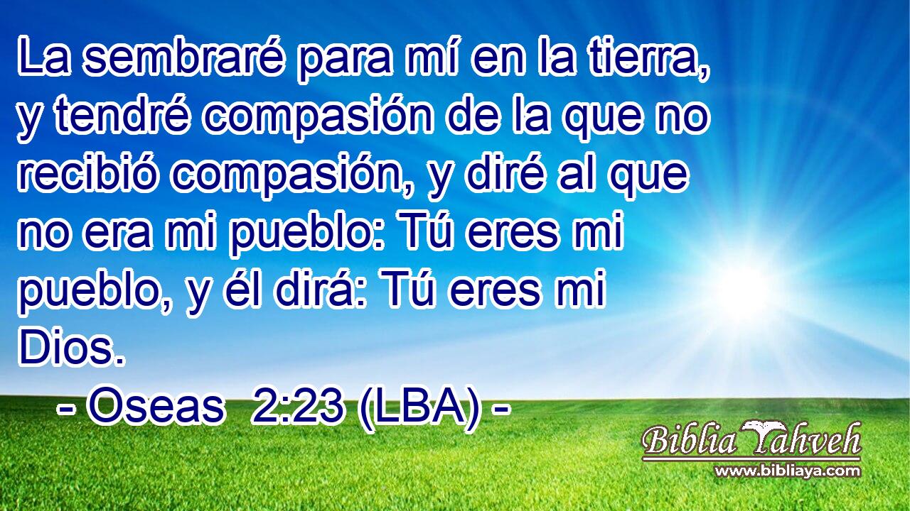 La sembraré para mí en la tierra, y tendré compasión de la que no recibió compasión, y diré al que no era mi pueblo: Tú eres mi pueblo, y él dirá: Tú eres mi Dios.