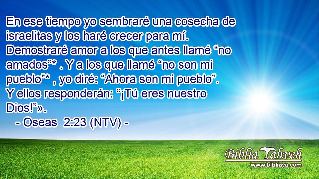En ese tiempo yo sembraré una cosecha de israelitas y los haré crecer para mí. Demostraré amor a los que antes llamé “no amados”* . Y a los que llamé “no son mi pueblo”* , yo diré: “Ahora son mi pueblo”. Y ellos responderán: “¡Tú eres nuestro Dios!”».