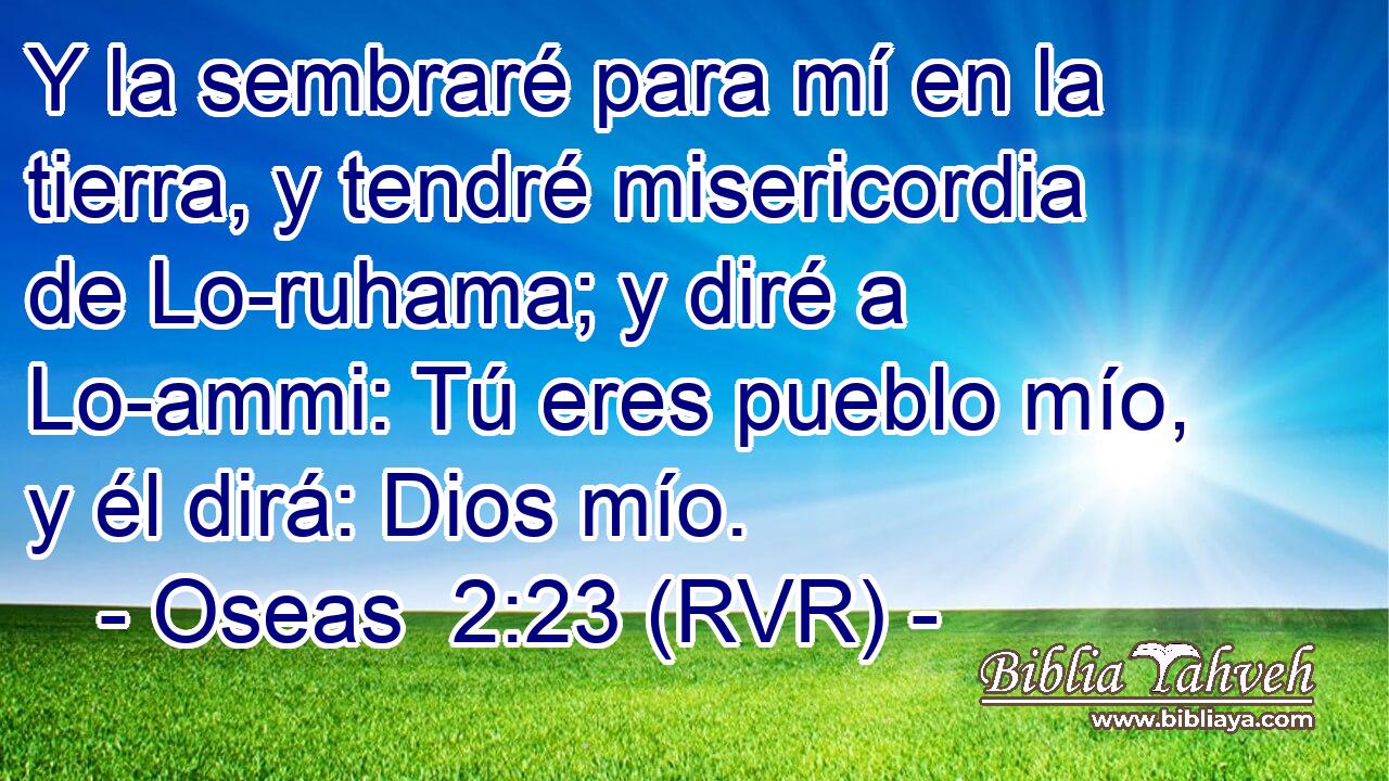 Y la sembraré para mí en la tierra, y tendré misericordia de Lo-ruhama; y diré a Lo-ammi: Tú eres pueblo mío, y él dirá: Dios mío.