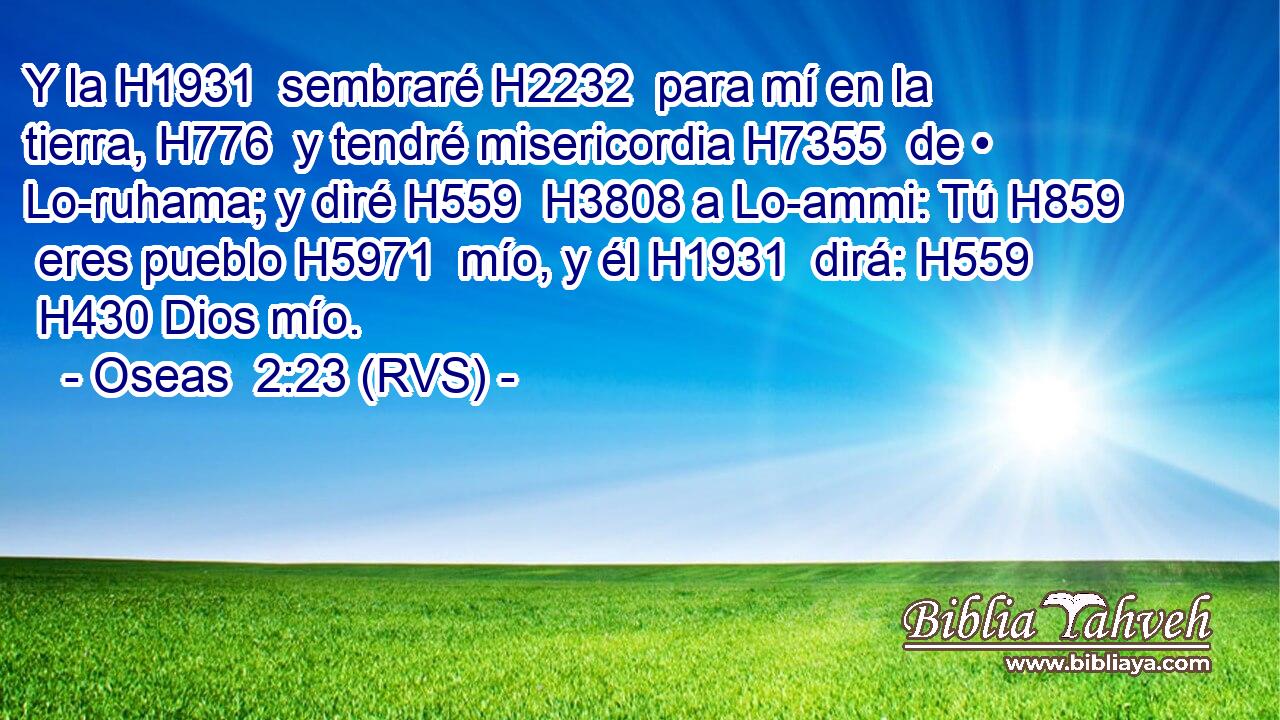Y la H1931  sembraré H2232  para mí en la tierra, H776  y tendré misericordia H7355  de • Lo-ruhama; y diré H559  H3808 a Lo-ammi: Tú H859  eres pueblo H5971  mío, y él H1931  dirá: H559  H430 Dios mío. 