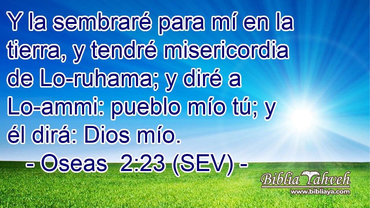 Y la sembraré para mí en la tierra, y tendré misericordia de Lo-ruhama; y diré a Lo-ammi: pueblo mío tú; y él dirá: Dios mío.