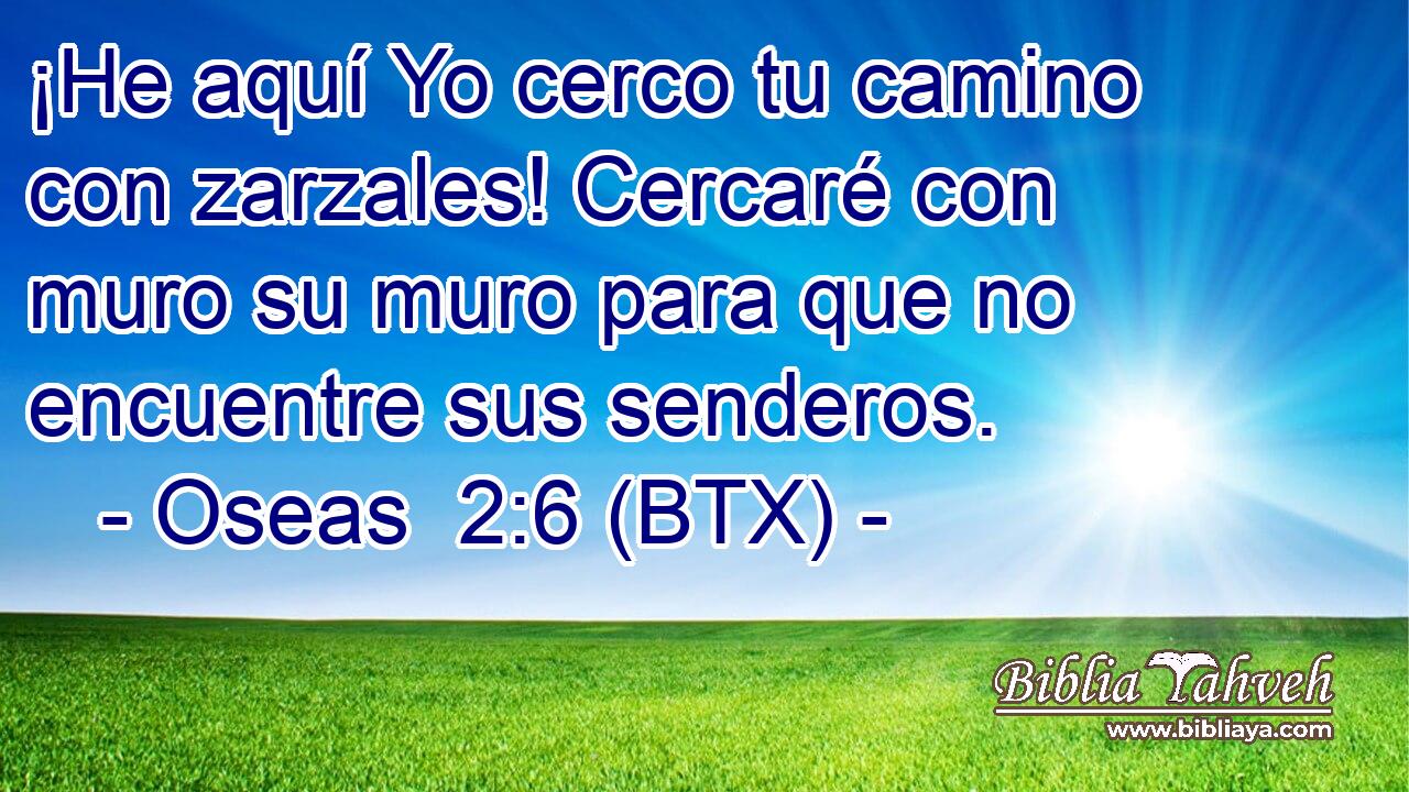 ¡He aquí Yo cerco tu camino con zarzales! Cercaré con muro su muro para que no encuentre sus senderos.