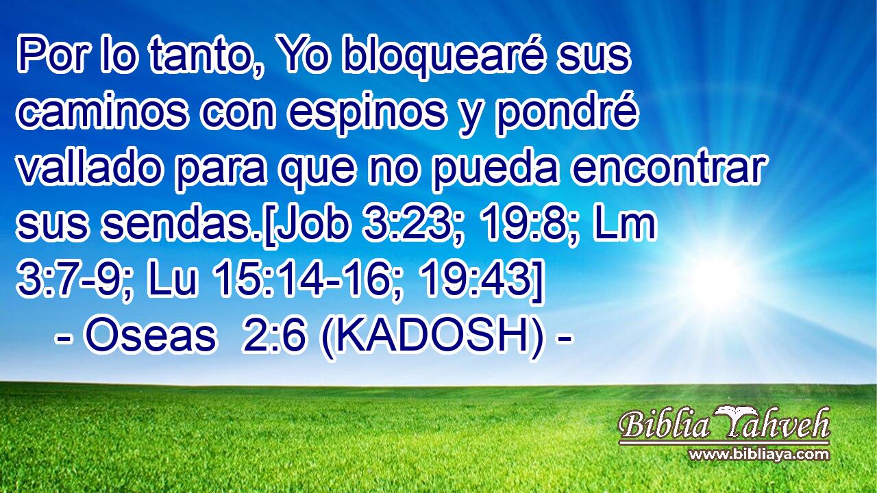  Por lo tanto, Yo bloquearé sus caminos con espinos y pondré vallado para que no pueda encontrar sus sendas.[Job 3:23; 19:8; Lm 3:7-9; Lu 15:14-16; 19:43] 