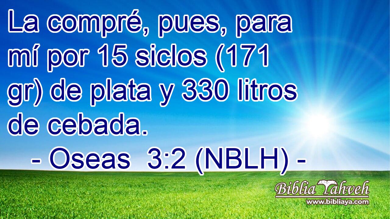  La compré, pues, para mí por 15 siclos (171 gr) de plata y 330 litros de cebada. 