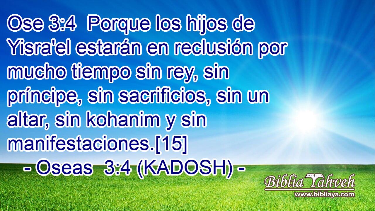  Porque los hijos de Yisra'el estarán en reclusión por mucho tiempo sin rey, sin príncipe, sin sacrificios, sin un altar, sin kohanim y sin manifestaciones.[15] 