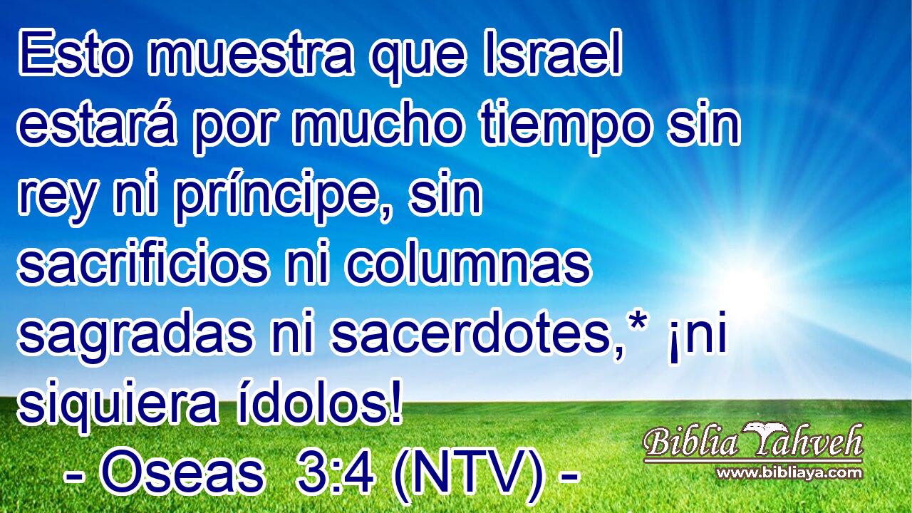 Esto muestra que Israel estará por mucho tiempo sin rey ni príncipe, sin sacrificios ni columnas sagradas ni sacerdotes,* ¡ni siquiera ídolos!