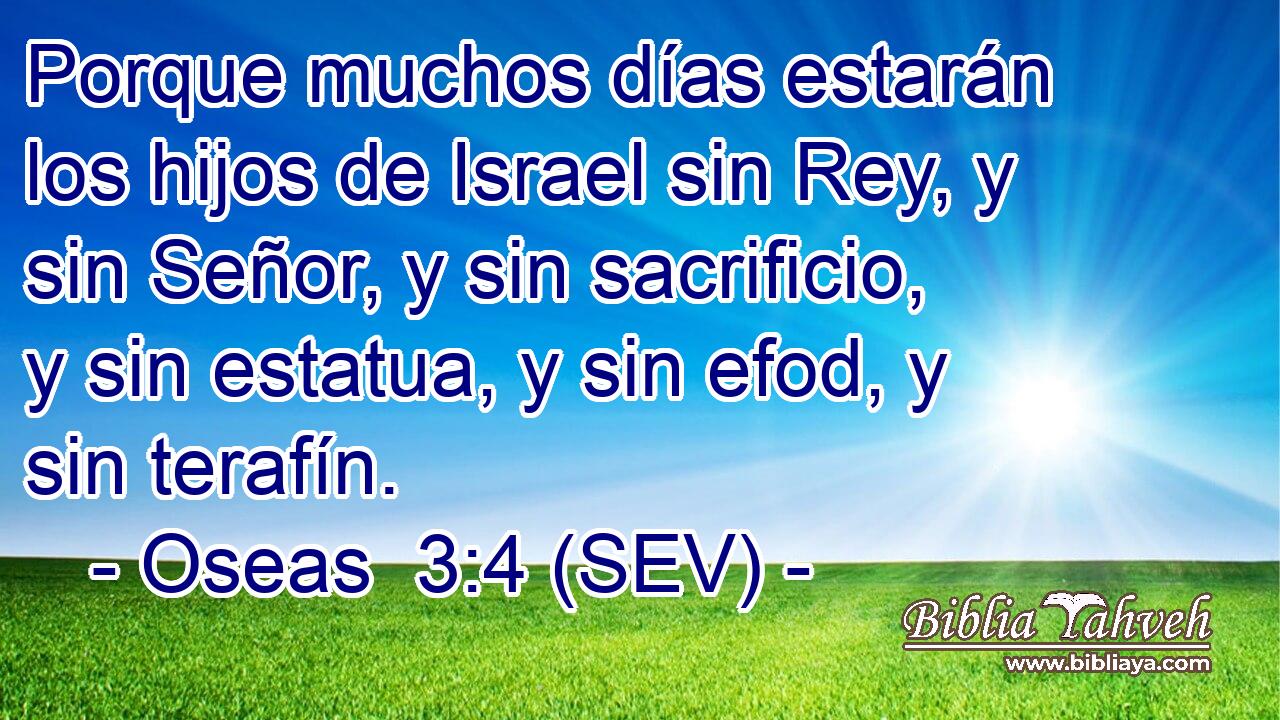 Porque muchos días estarán los hijos de Israel sin Rey, y sin Señor, y sin sacrificio, y sin estatua, y sin efod, y sin terafín.