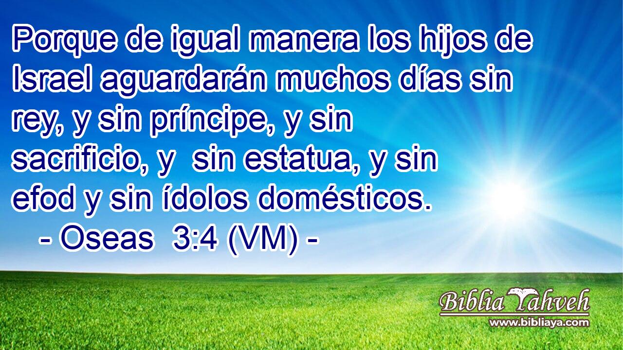  Porque de igual manera los hijos de Israel aguardarán muchos días sin rey, y sin príncipe, y sin sacrificio, y  sin estatua, y sin efod y sin ídolos domésticos. 