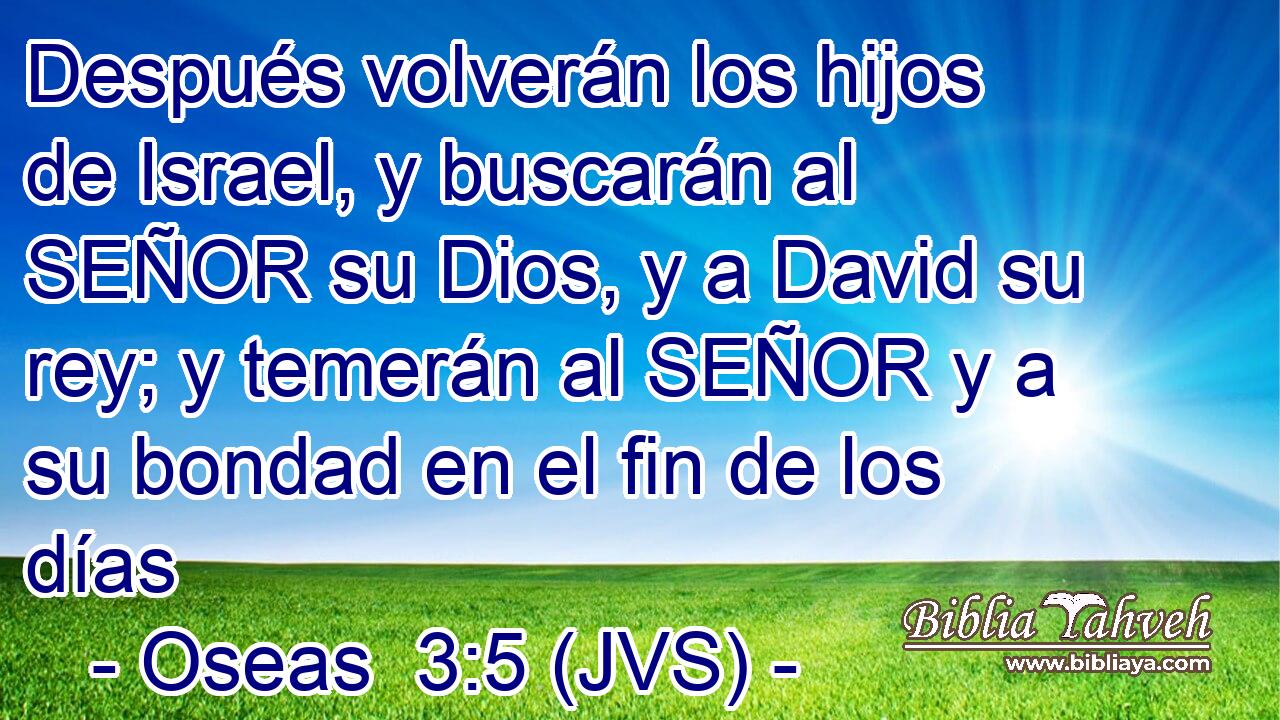 Después volverán los hijos de Israel, y buscarán al SEÑOR su Dios, y a David su rey; y temerán al SEÑOR y a su bondad en el fin de los días