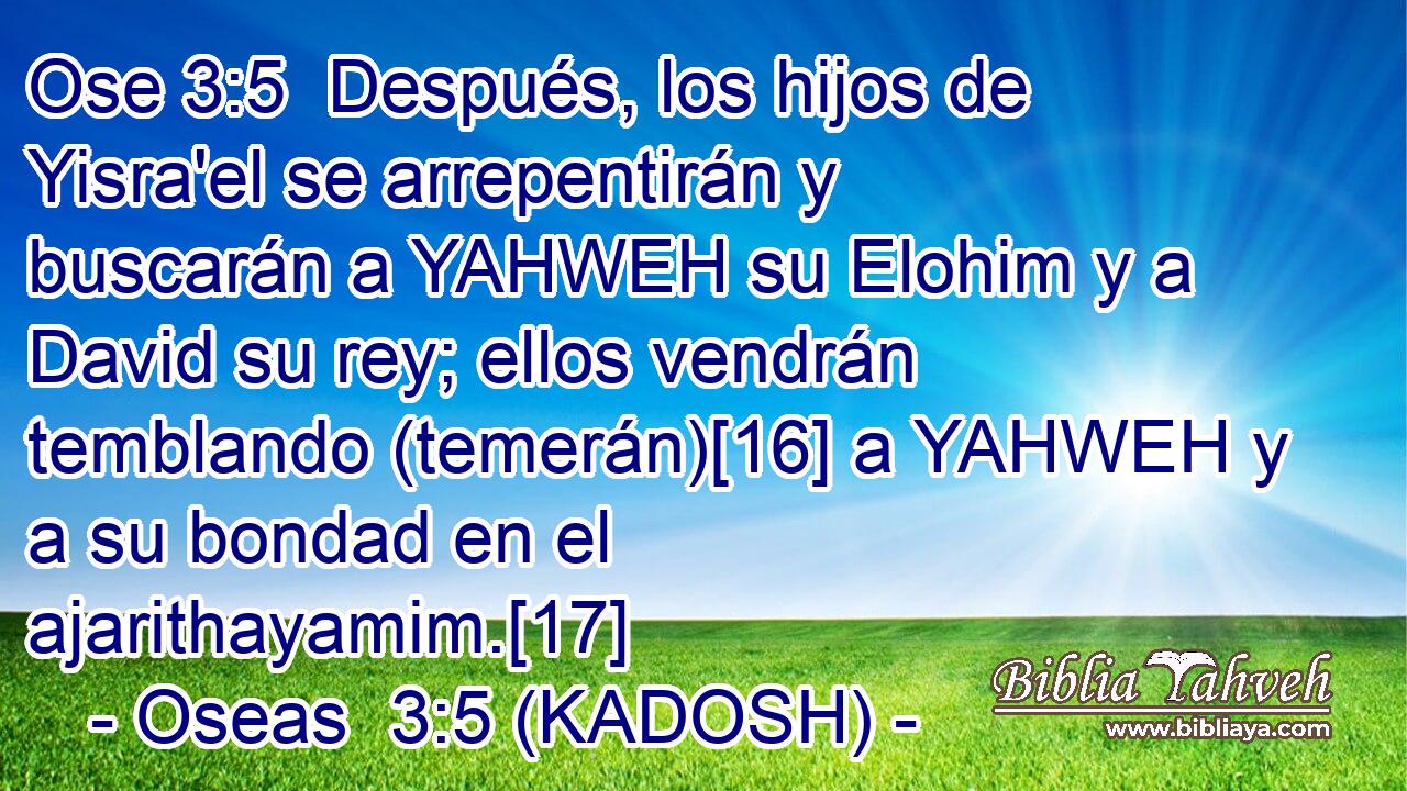  Después, los hijos de Yisra'el se arrepentirán y buscarán a YAHWEH su Elohim y a David su rey; ellos vendrán temblando (temerán)[16] a YAHWEH y a su bondad en el ajarithayamim.[17] 