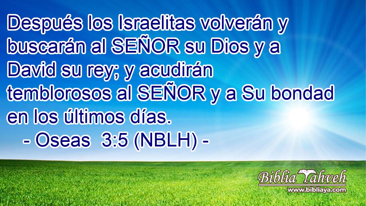  Después los Israelitas volverán y buscarán al SEÑOR su Dios y a David su rey; y acudirán temblorosos al SEÑOR y a Su bondad en los últimos días. 
