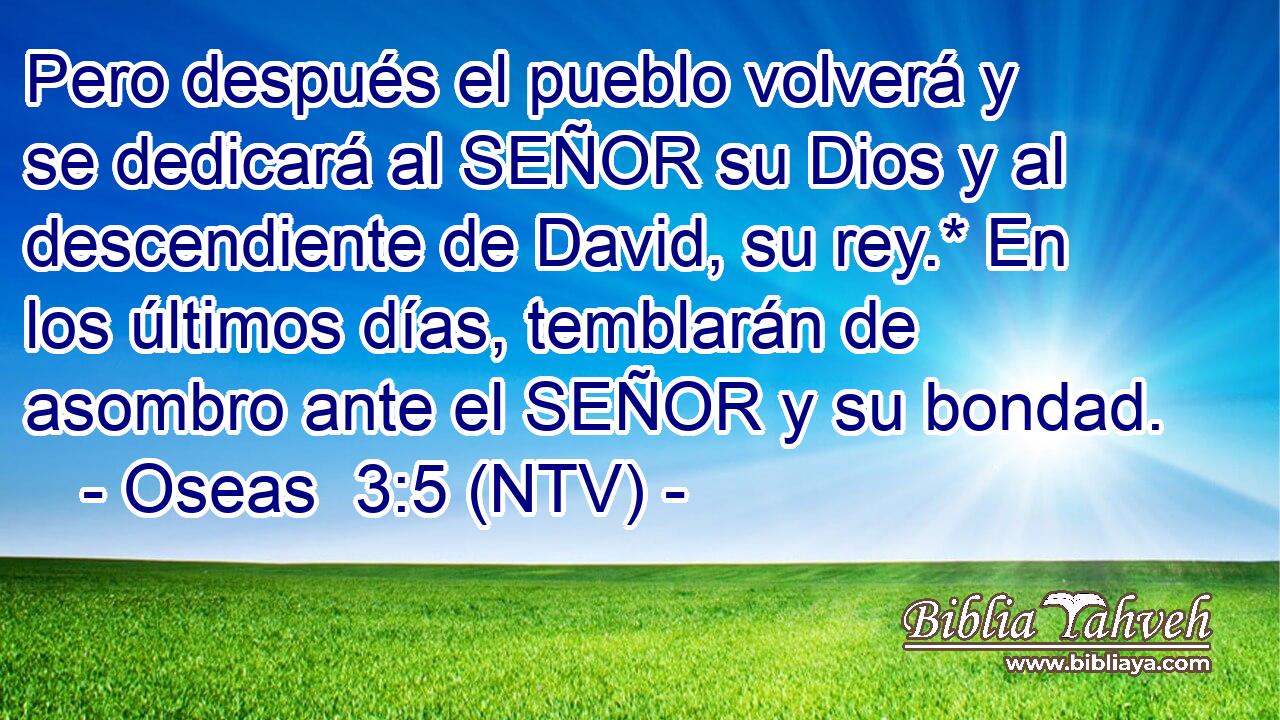 Pero después el pueblo volverá y se dedicará al SEÑOR su Dios y al descendiente de David, su rey.* En los últimos días, temblarán de asombro ante el SEÑOR y su bondad.