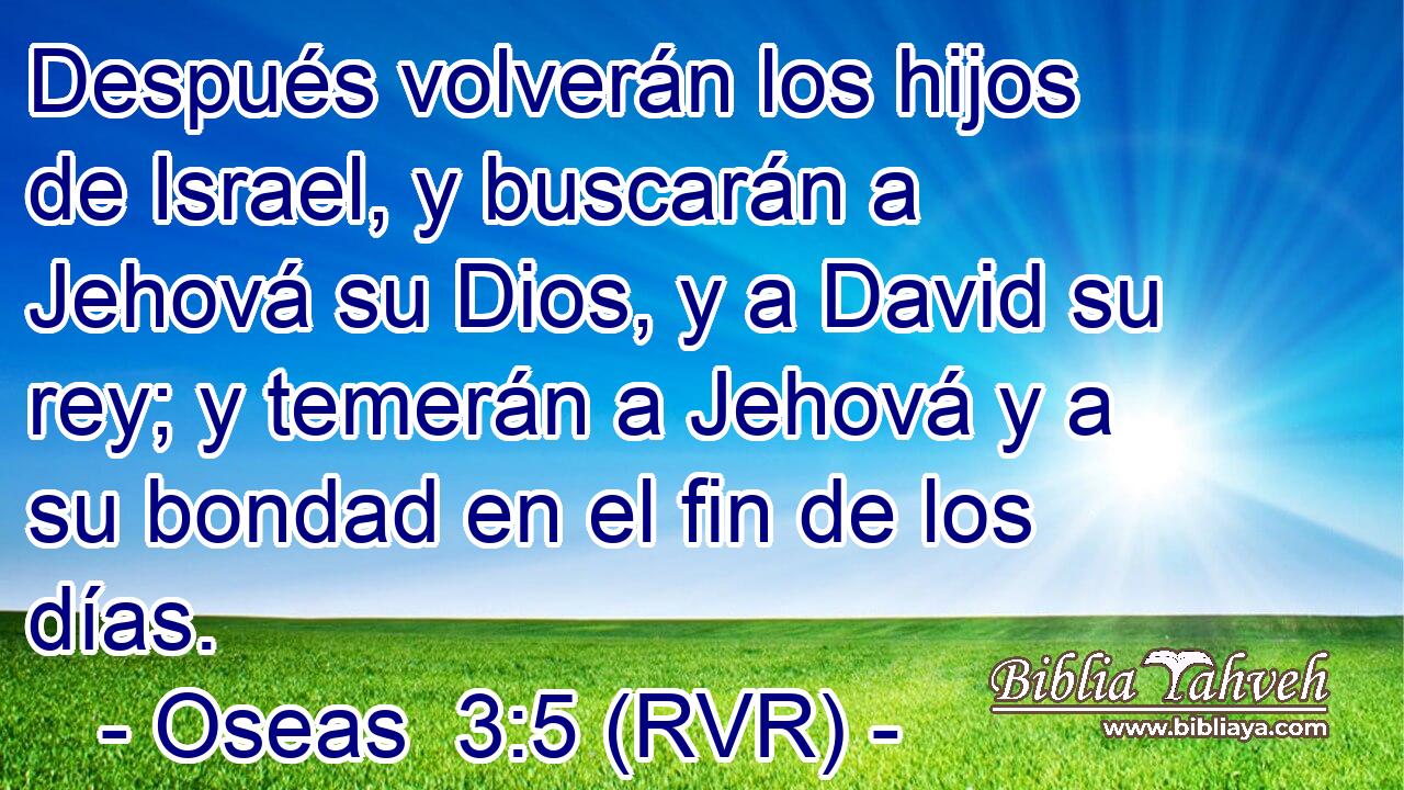 Después volverán los hijos de Israel, y buscarán a Jehová su Dios, y a David su rey; y temerán a Jehová y a su bondad en el fin de los días.