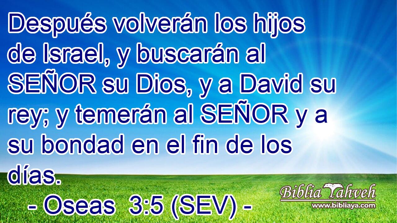 Después volverán los hijos de Israel, y buscarán al SEÑOR su Dios, y a David su rey; y temerán al SEÑOR y a su bondad en el fin de los días.