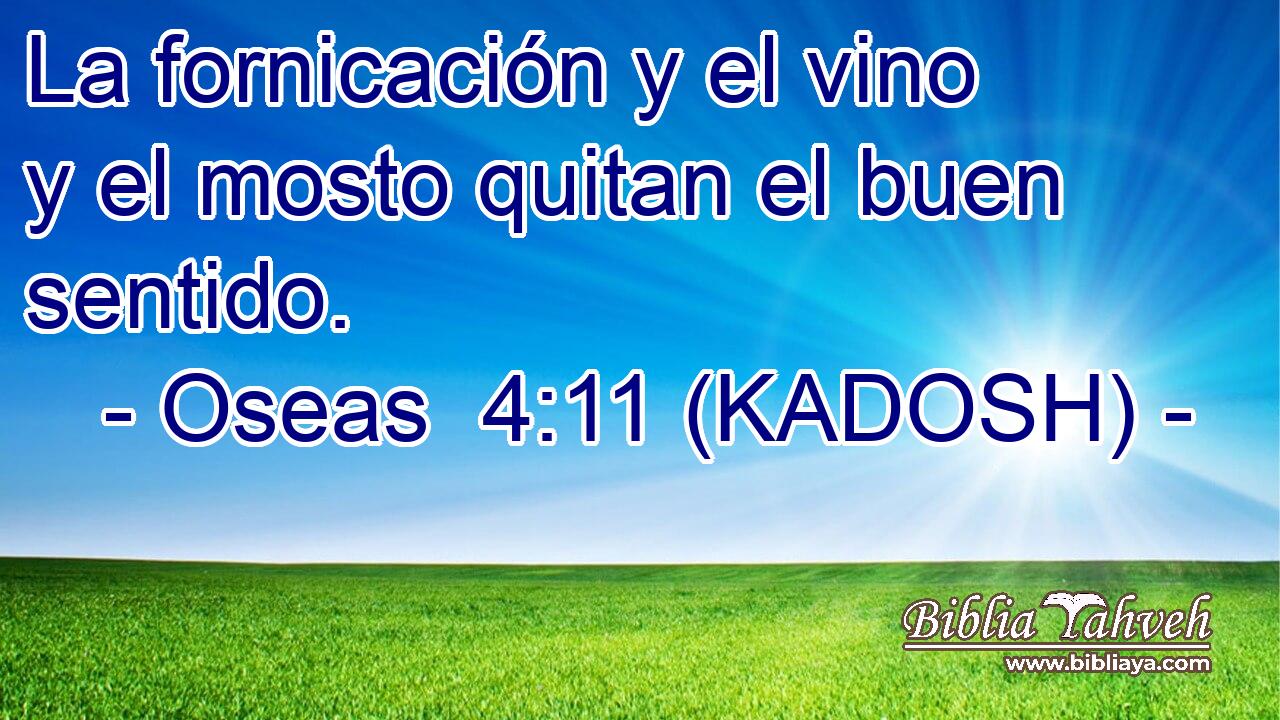  La fornicación y el vino y el mosto quitan el buen sentido. 