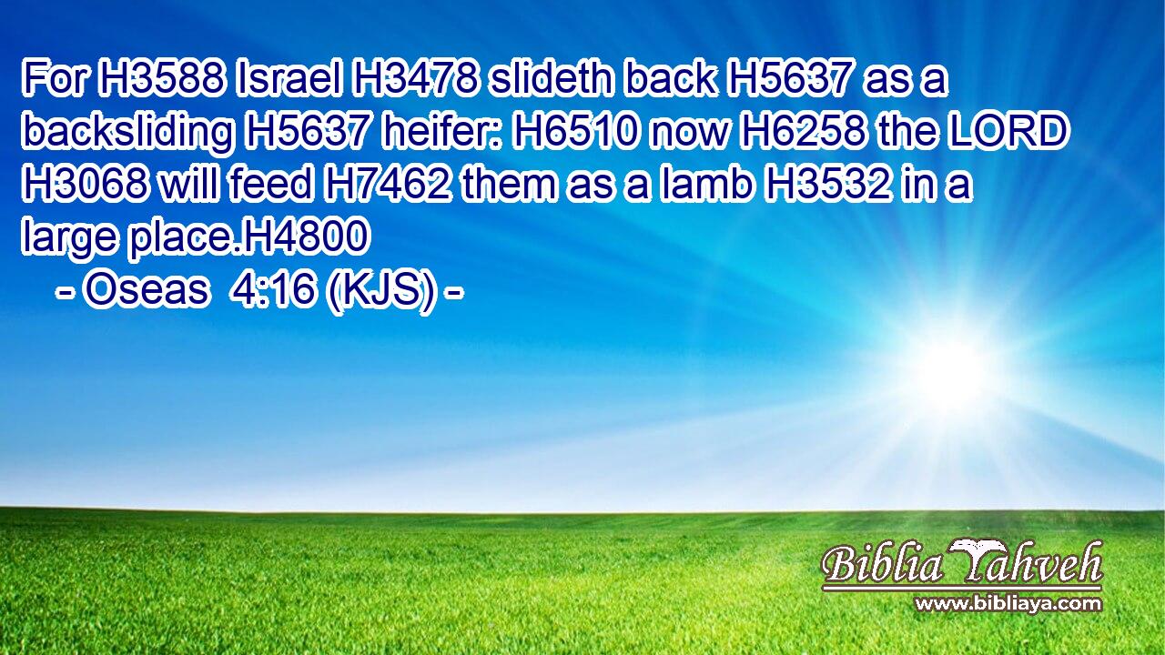 For H3588 Israel H3478 slideth back H5637 as a backsliding H5637 heifer: H6510 now H6258 the LORD H3068 will feed H7462 them as a lamb H3532 in a large place.H4800