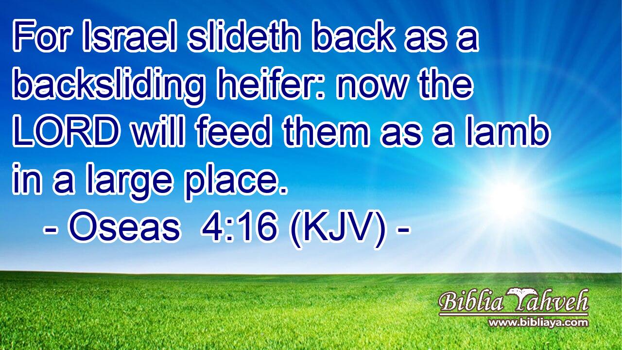 For Israel slideth back as a backsliding heifer: now the LORD will feed them as a lamb in a large place.