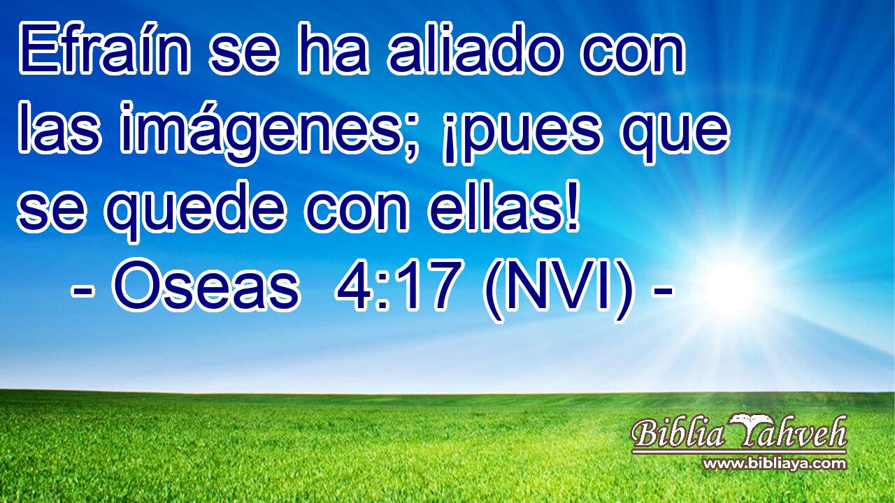  Efraín se ha aliado con las imágenes; ¡pues que se quede con ellas! 