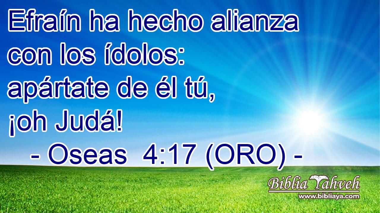  Efraín ha hecho alianza con los ídolos: apártate de él tú, ¡oh Judá! 