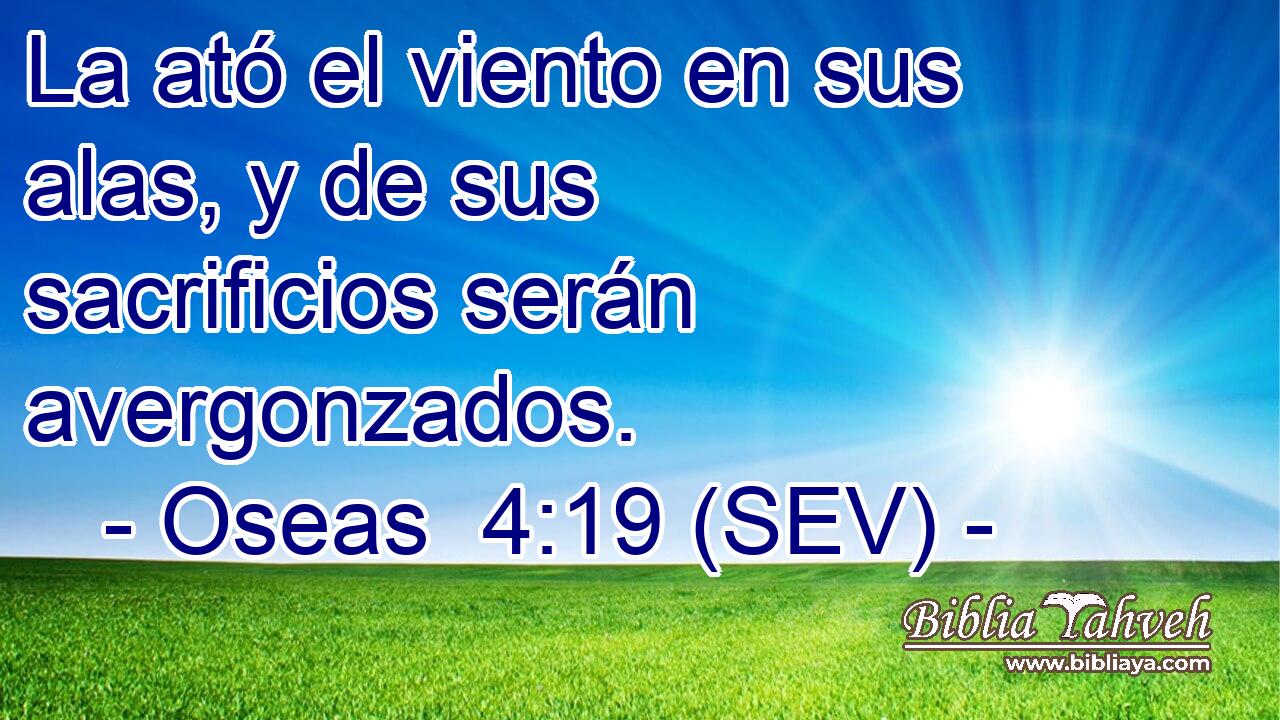 La ató el viento en sus alas, y de sus sacrificios serán avergonzados.