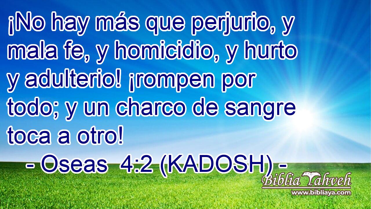  ¡No hay más que perjurio, y mala fe, y homicidio, y hurto y adulterio! ¡rompen por todo; y un charco de sangre toca a otro! 