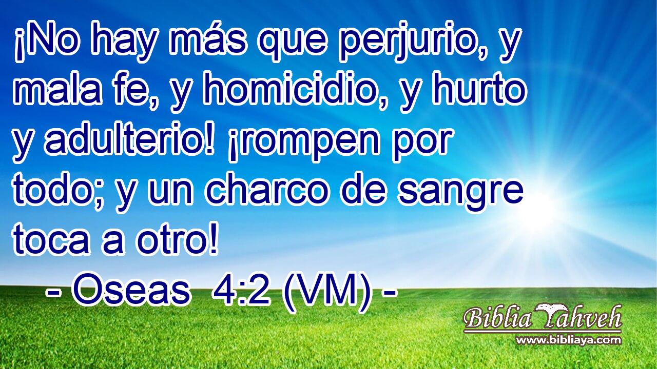  ¡No hay más que perjurio, y mala fe, y homicidio, y hurto y adulterio! ¡rompen por todo; y un charco de sangre toca a otro! 