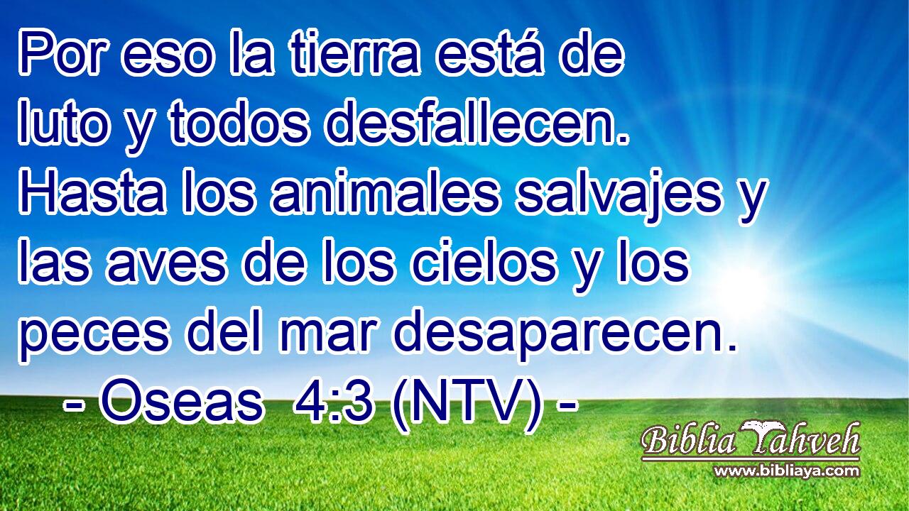 Por eso la tierra está de luto y todos desfallecen. Hasta los animales salvajes y las aves de los cielos y los peces del mar desaparecen.