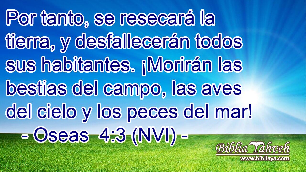  Por tanto, se resecará la tierra, y desfallecerán todos sus habitantes. ¡Morirán las bestias del campo, las aves del cielo y los peces del mar! 