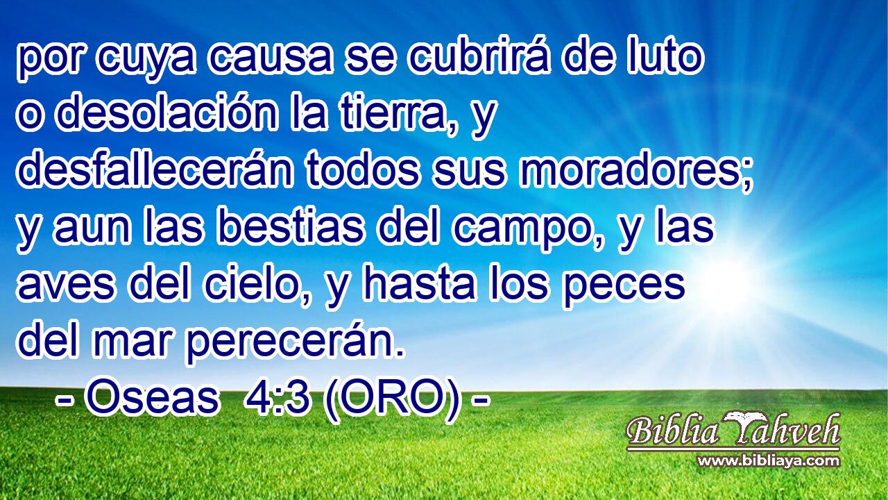  por cuya causa se cubrirá de luto o desolación la tierra, y desfallecerán todos sus moradores; y aun las bestias del campo, y las aves del cielo, y hasta los peces del mar perecerán. 