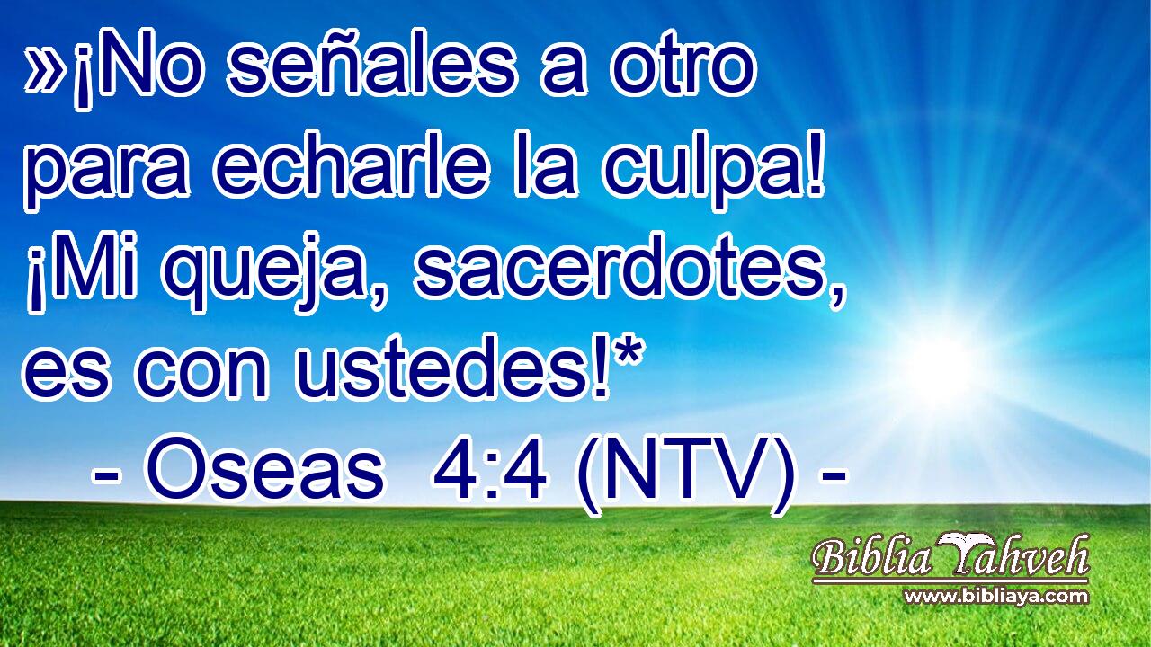 »¡No señales a otro para echarle la culpa! ¡Mi queja, sacerdotes, es con ustedes!*