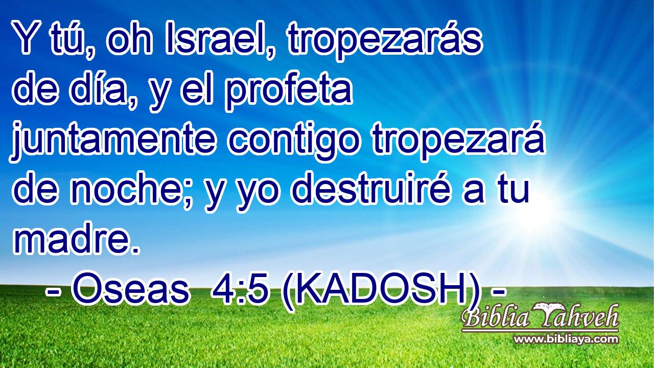  Y tú, oh Israel, tropezarás de día, y el profeta juntamente contigo tropezará de noche; y yo destruiré a tu madre. 