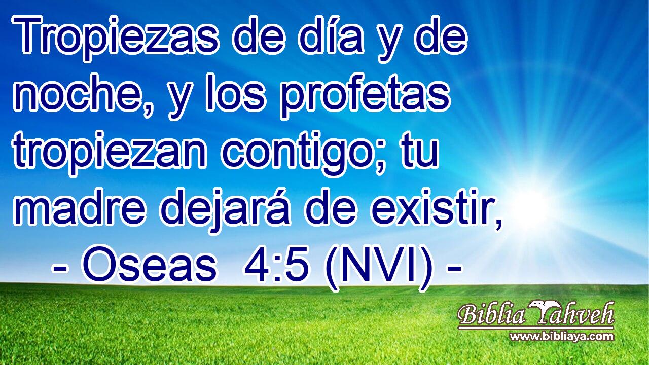  Tropiezas de día y de noche, y los profetas tropiezan contigo; tu madre dejará de existir, 
