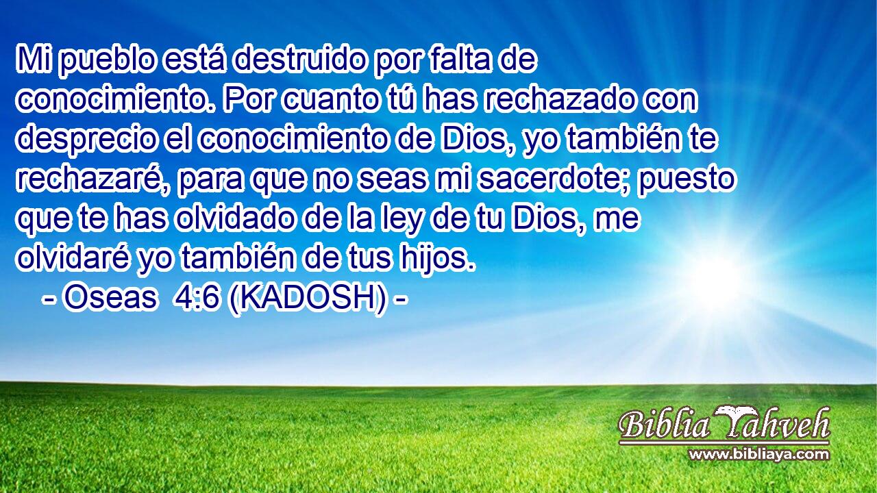  Mi pueblo está destruido por falta de conocimiento. Por cuanto tú has rechazado con desprecio el conocimiento de Dios, yo también te rechazaré, para que no seas mi sacerdote; puesto que te has olvidado de la ley de tu Dios, me olvidaré yo también de tus hijos. 