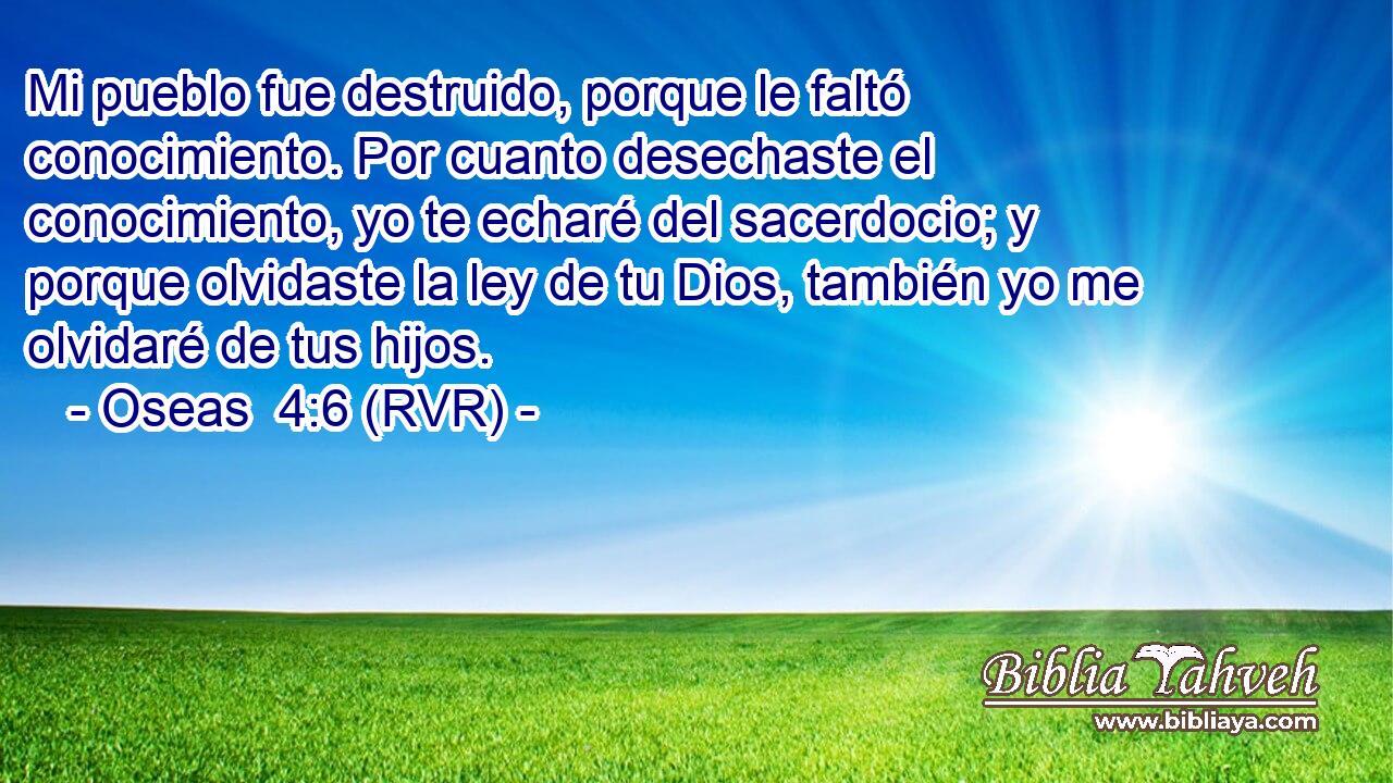 Mi pueblo fue destruido, porque le faltó conocimiento. Por cuanto desechaste el conocimiento, yo te echaré del sacerdocio; y porque olvidaste la ley de tu Dios, también yo me olvidaré de tus hijos.