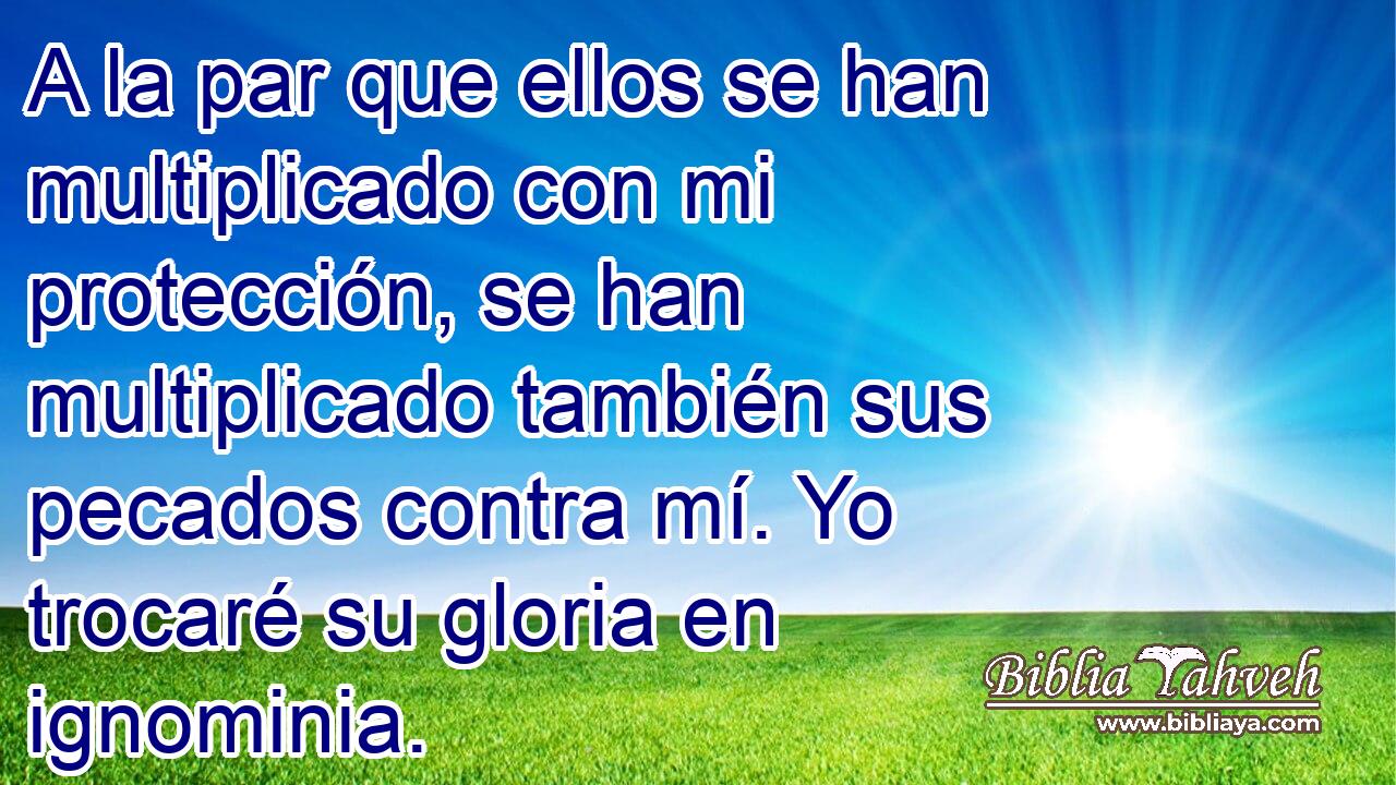  A la par que ellos se han multiplicado con mi protección, se han multiplicado también sus pecados contra mí. Yo trocaré su gloria en ignominia. 