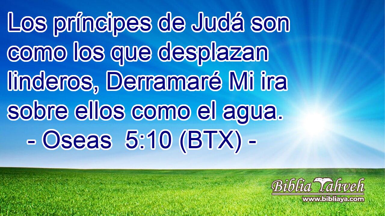 Los príncipes de Judá son como los que desplazan linderos, Derramaré Mi ira sobre ellos como el agua.