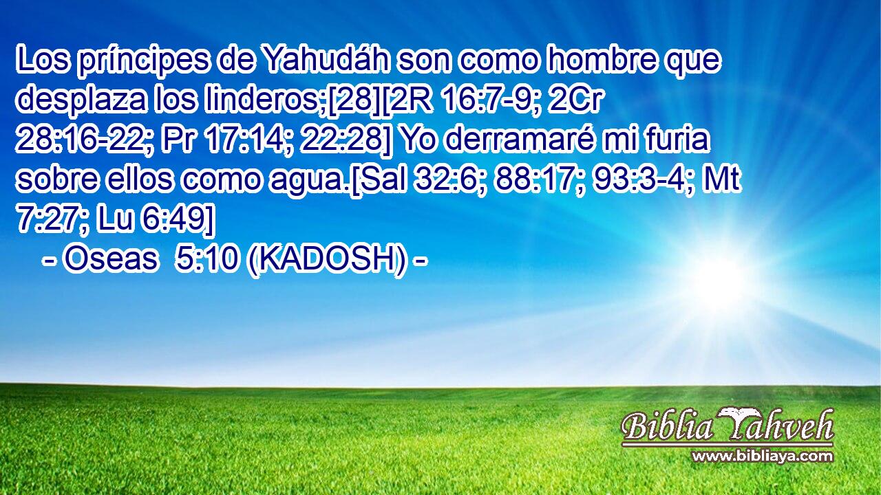  Los príncipes de Yahudáh son como hombre que desplaza los linderos;[28][2R 16:7-9; 2Cr 28:16-22; Pr 17:14; 22:28] Yo derramaré mi furia sobre ellos como agua.[Sal 32:6; 88:17; 93:3-4; Mt 7:27; Lu 6:49] 