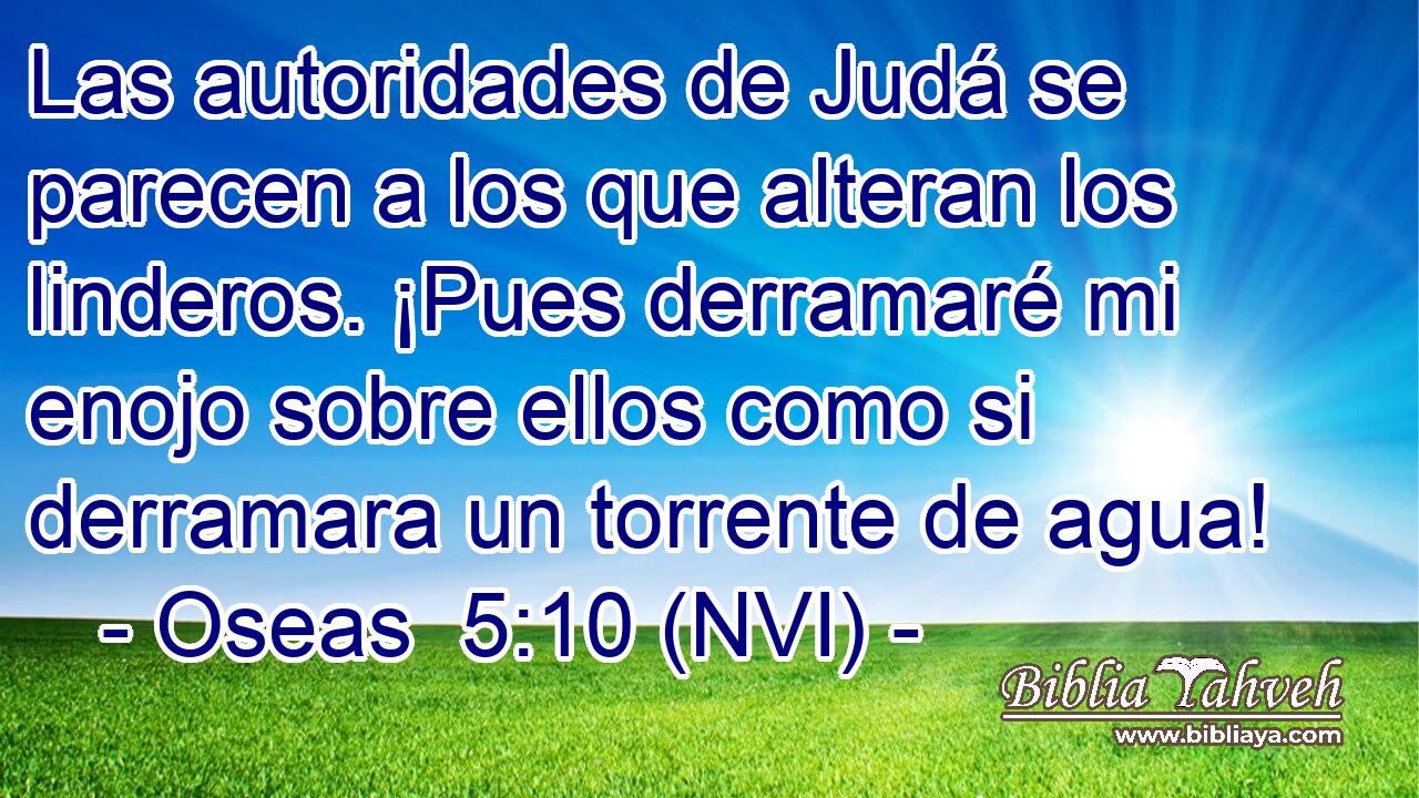  Las autoridades de Judá se parecen a los que alteran los linderos. ¡Pues derramaré mi enojo sobre ellos como si derramara un torrente de agua! 